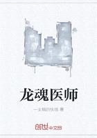 龙魂医师封面